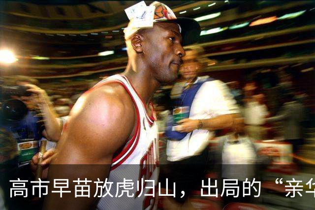 高市早苗放虎归山，出局的“亲华派”林芳正，很可能会把她拉下马